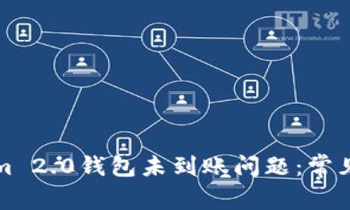 如何解决Tokenim 2.0钱包未到账问题：常见原因与解决方案