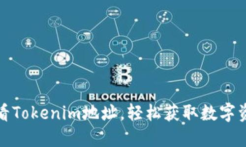 如何查看Tokenim地址，轻松获取数字资产信息