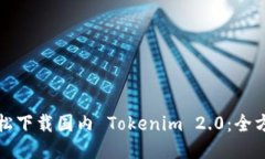 如何轻松下载国内 Tokenim 2.0：全方位指南