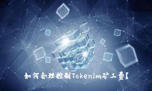 如何合理控制Tokenim矿工费？