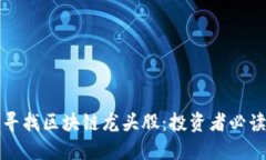 如何寻找区块链龙头股：投资者必读指南