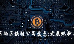 忻州区的区块链公司盘点：发展现状与趋势