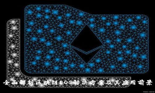 全面解析区块链EOS解决方案及其应用前景