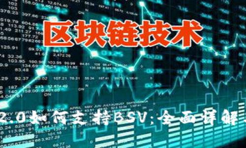 Tokenim 2.0如何支持BSV：全面详解与实用指南