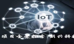  成都区块链项目全景探索：新兴科技的城市名片