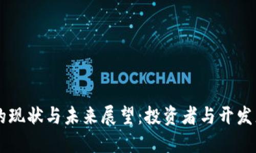 区块链项目的现状与未来展望：投资者与开发者的双重视角