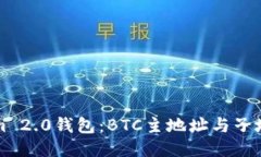 深入探讨Tokenim 2.0钱包：BTC主地址与子地址的使用