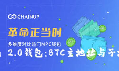 深入探讨Tokenim 2.0钱包：BTC主地址与子地址的使用与管理