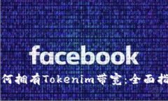 如何拥有Tokenim带宽：全面指南