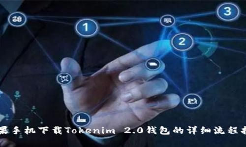 苹果手机下载Tokenim 2.0钱包的详细流程指南