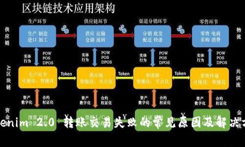 Tokenim 2.0 转账交易失败的常见原因及解决方案