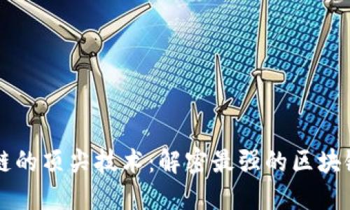 区块链的顶尖技术：解密最强的区块链技术