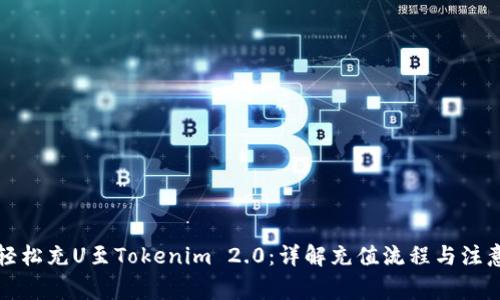 如何轻松充U至Tokenim 2.0：详解充值流程与注意事项