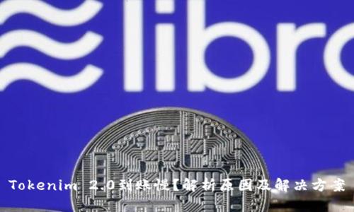 Tokenim 2.0到账慢？解析原因及解决方案