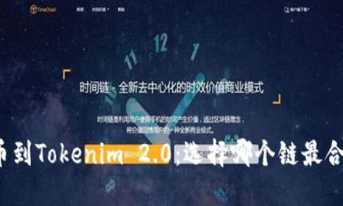 提币到Tokenim 2.0：选择哪个链最合适？