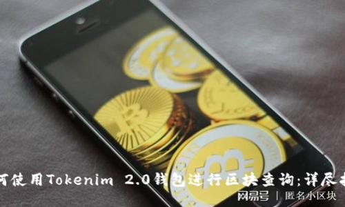 如何使用Tokenim 2.0钱包进行区块查询：详尽指南