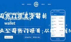 区块链创业公司热门项目全解析探索区块链创业