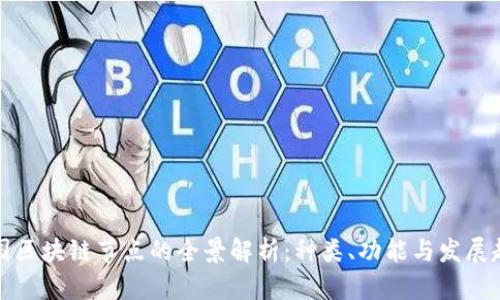 美国区块链节点的全景解析：种类、功能与发展趋势