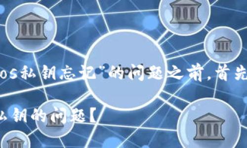在讨论如何处理“tokenimeos私钥忘记”的问题之前，首先我们来定义、关键词和大纲。

如何解决忘记Tokenimeos私钥的问题？