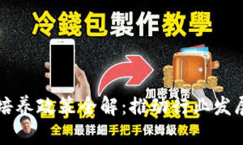区块链人才培养政策全解：推动行业发展与技术创新