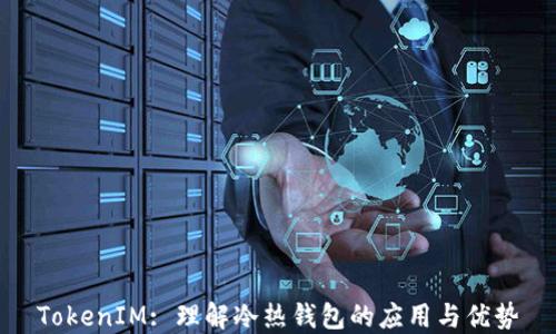 
TokenIM: 理解冷热钱包的应用与优势