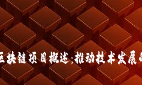 中国主要区块链项目概述:推动技术发展的国家战略