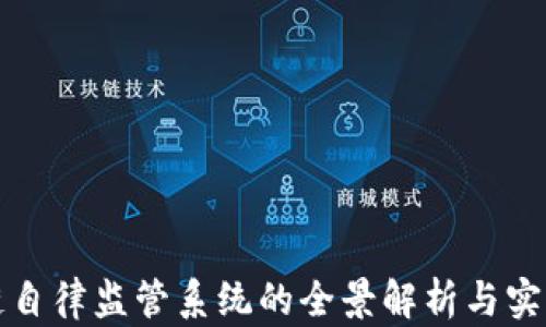 区块链自律监管系统的全景解析与实践经验