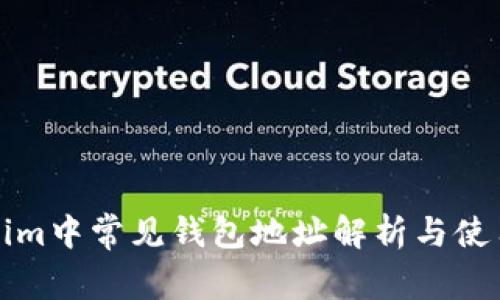 Tokenim中常见钱包地址解析与使用指南