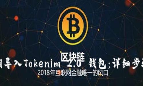如何通过私钥导入Tokenim 2.0 钱包：详细步骤与注意事项