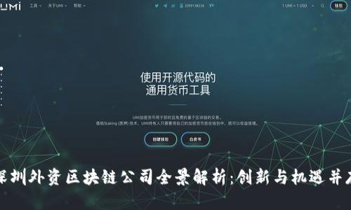 深圳外资区块链公司全景解析：创新与机遇并存