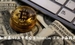 如何在iOS上下载安装Tokenim 2.0：全面指南