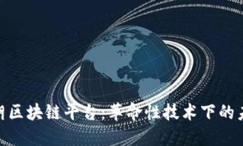 探秘伊朗区块链平台：革命性技术下的未来机遇