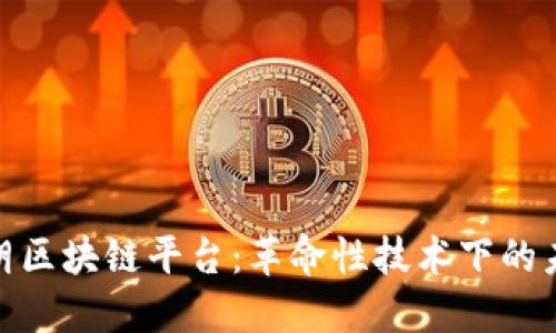 探秘伊朗区块链平台:革命性技术下的未来机遇