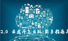 TokenIM 2.0 云龙斗怎么玩：新手指南与游戏策略