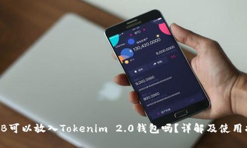 SHIB可以放入Tokenim 2.0钱包吗？详解及使用指南