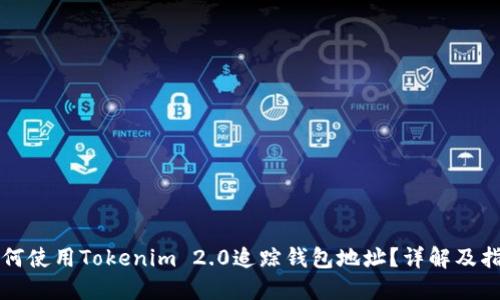 如何使用Tokenim 2.0追踪钱包地址？详解及指南