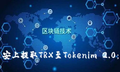 如何在币安上提取TRX至Tokenim 2.0：详尽指南