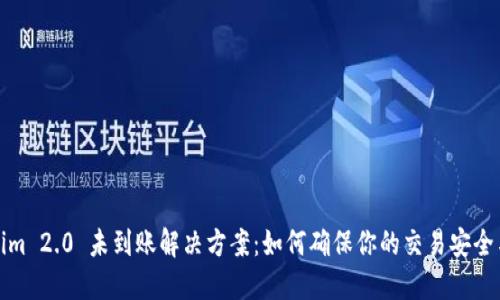 Tokenim 2.0 未到账解决方案：如何确保你的交易安全与顺利