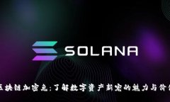 区块链加密兔：了解数字资产新宠的魅力与价值