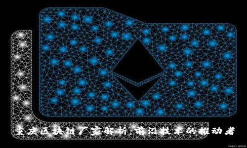 重庆区块链厂家解析：前沿技术的推动者