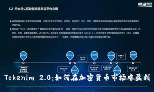 Tokenim 2.0：如何在加密货币市场中盈利