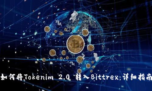 如何将Tokenim 2.0 转入Bittrex：详细指南